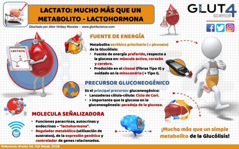 Deshidrogenasa láctica baja: ¿qué significa?
