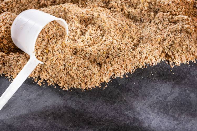 Plantago psyllium por cuánto tiempo se debe tomar: guía útil