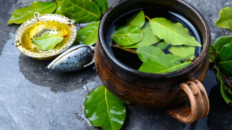 Té de hojas de guanábana beneficios y contraindicaciones