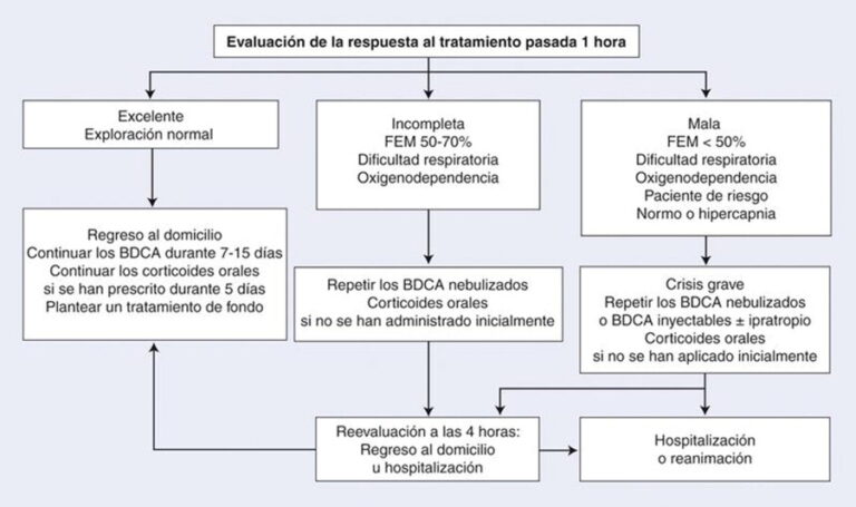 Aminofilina: usos médicos y beneficios explicados