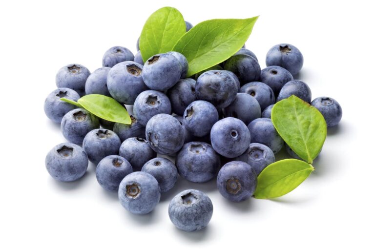 Arándano azul beneficios: 10 razones para consumirlo