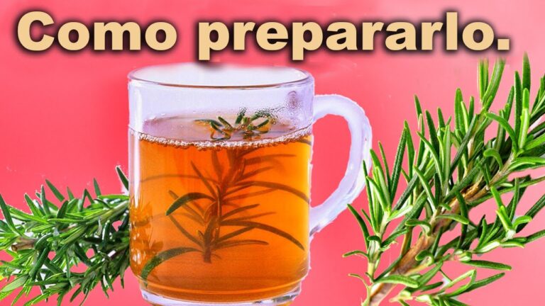 Beneficios del romero en té: propiedades y ventajas esenciales
