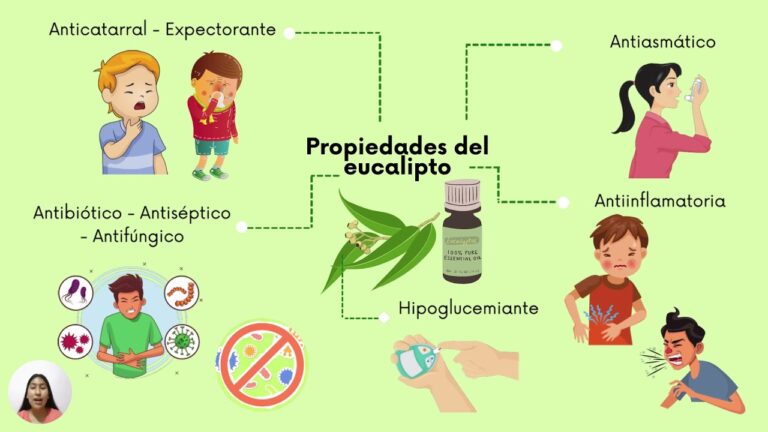 Beneficios del té de eucalipto: propiedades y ventajas