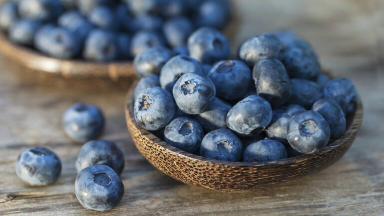Blue berry beneficios: Mejora tu salud con arándanos azules