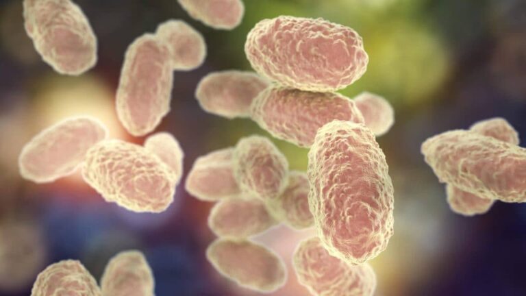 Bordetella pertussis: Causa de la tos ferina explicada