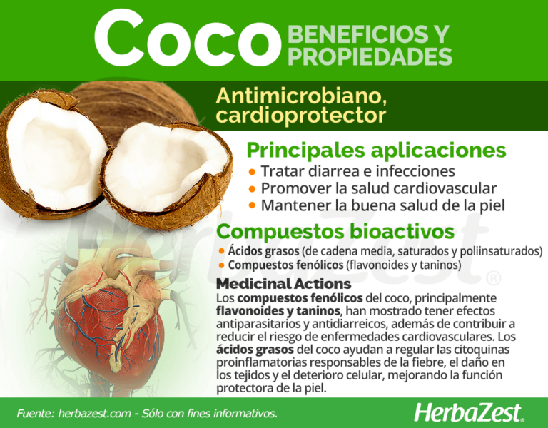Coco rallado beneficios: descubre sus 7 ventajas esenciales
