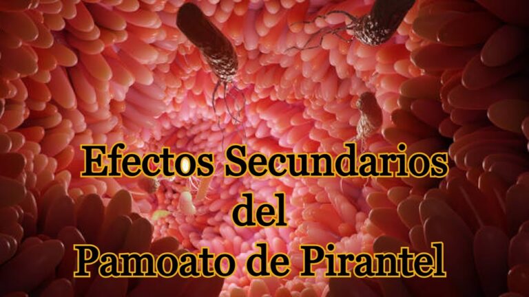 Como desparasitarse un adulto: guía y recomendaciones