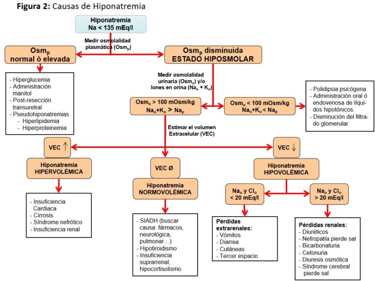 Diabetes insípida: síntomas y causas explicadas