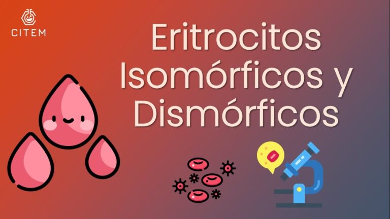 Eritrocitos en orina 10: ¿Qué significa y causas?