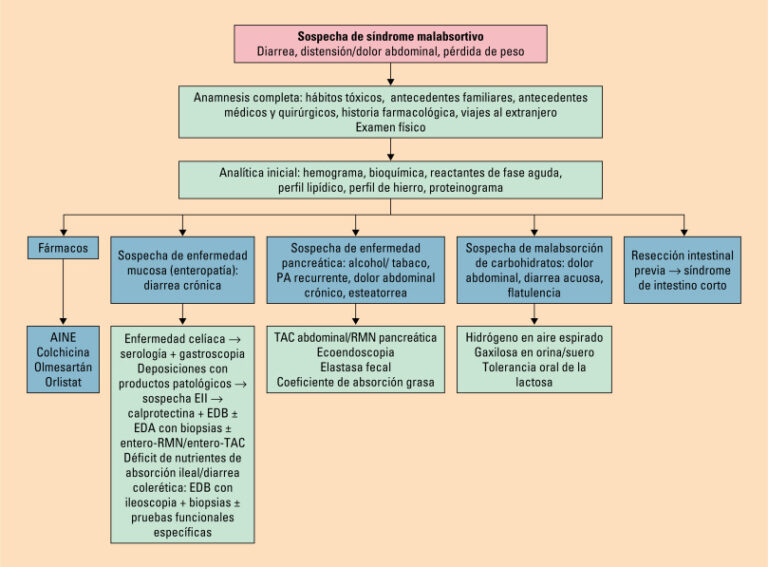 Esteatorrea heces: causas y tratamiento explicado