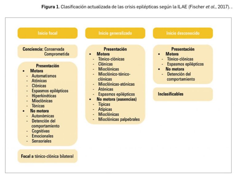 Fenitoína sódica: usos y beneficios explicados