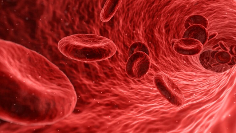 Globulinas altas: ¿Qué significan en tu análisis de sangre?