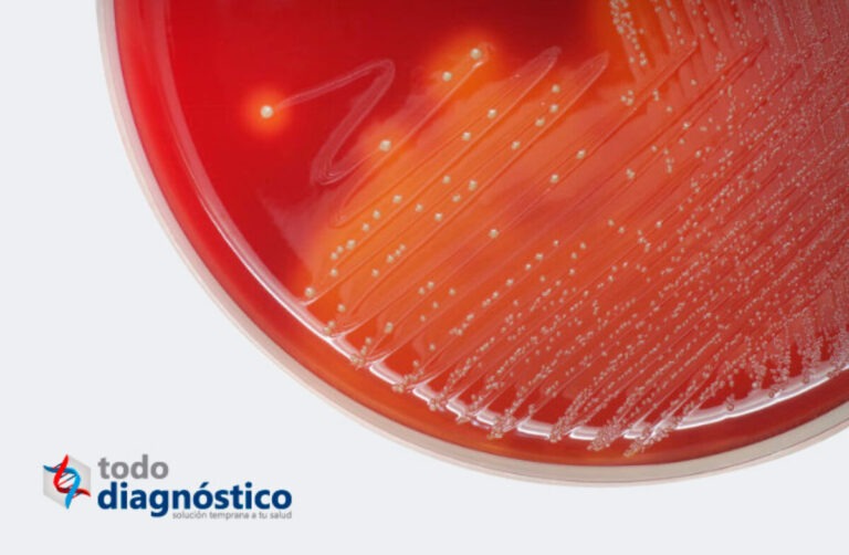 Hemocultivo: Definición y usos en diagnóstico médico