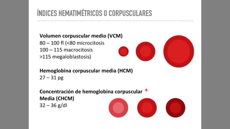 hgb corpuscular media: ¿Qué indica su nivel en sangre?