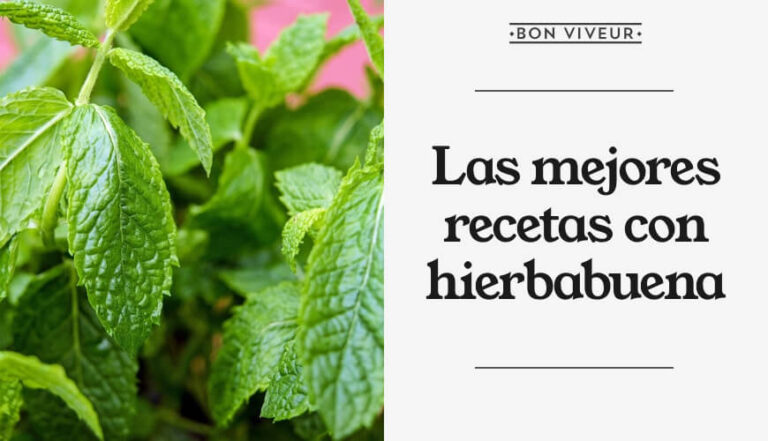 Hierbabuena recetas medicinales: beneficios y preparaciones