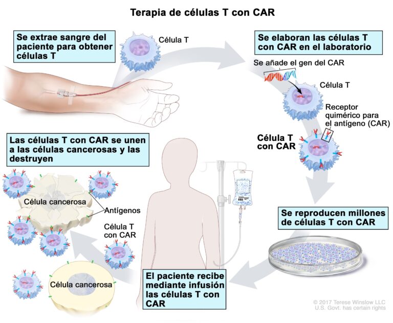 ldh bajo que significa: causas y consecuencias explicadas