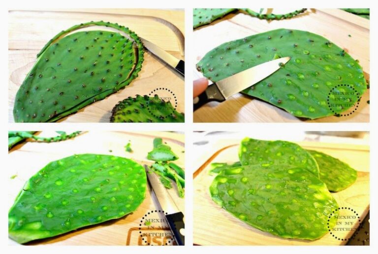 Nopales crudos beneficios: 8 razones para incluirlos en tu dieta