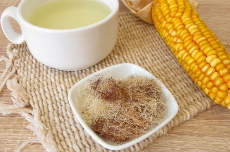 Pelos de elote beneficios: propiedades y usos saludables