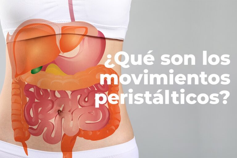 Peristaltismo: ¿Qué es y cómo funciona?