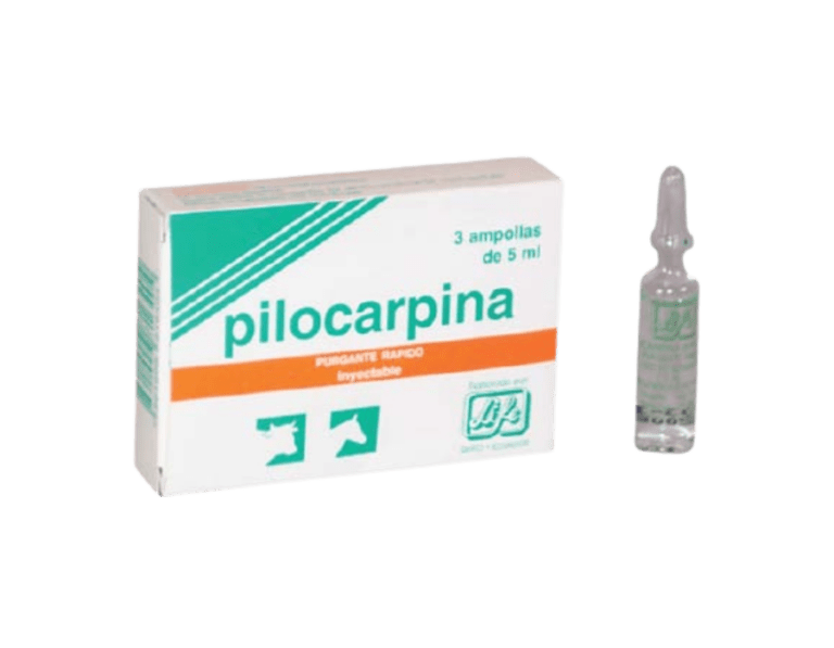 Pilocarpina: ¿Qué es y para qué se utiliza?