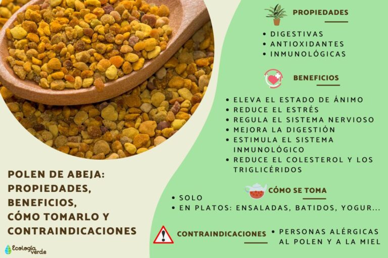 Polen de abeja: beneficios y propiedades esenciales