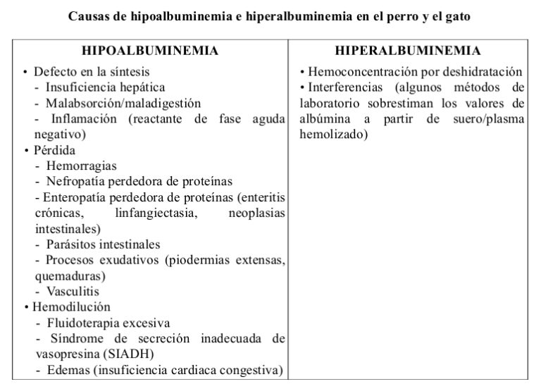 Proteinas totales sericas bajas: causas y consecuencias