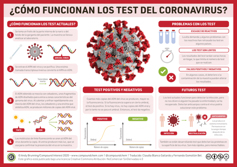 Pruebas PCR: ¿Qué son y cómo funcionan?