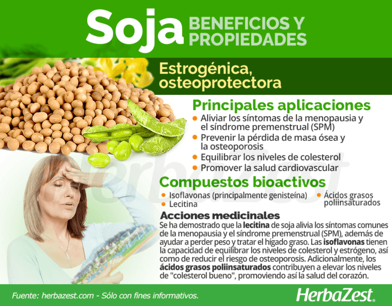 ¿Qué es la soya? Descubre sus beneficios y propiedades