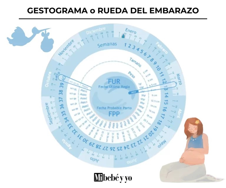 ¿Qué significa fecha de concepción? Descubre su importancia