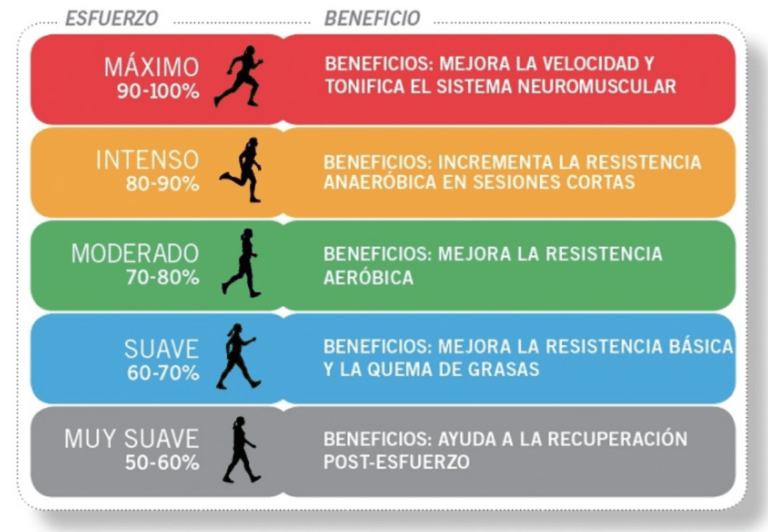 Ritmo cardíaco para quemar grasa: ¿Cuál es el ideal?