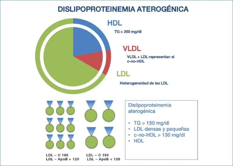 sd ldl alto: implicaciones para la salud y riesgos asociados
