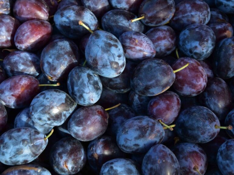 Uva morada beneficios: 8 razones para mejorar tu salud