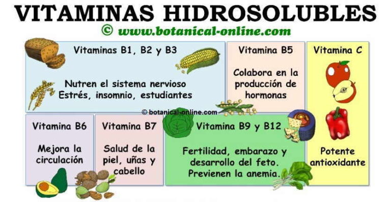 Vitamina A hidrosoluble: funciones y beneficios esenciales