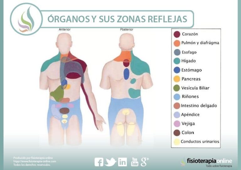 Zonas lumbares: características y anatomía explicadas